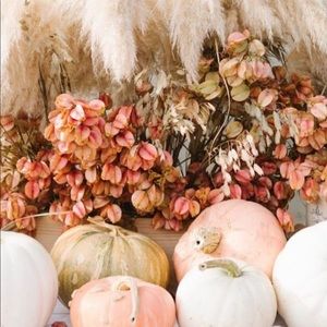 Meet your Posher, Melody